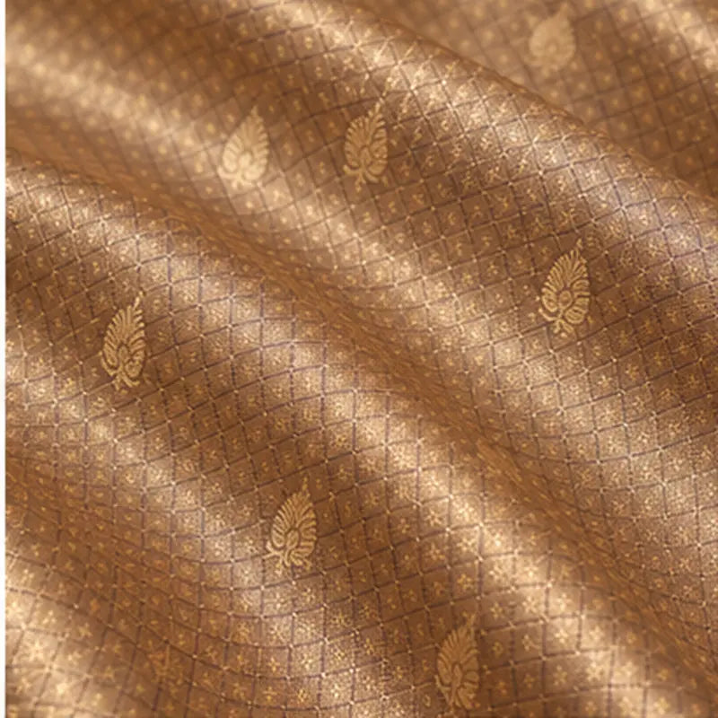 Tissue Saree 05 – tissue 05 06 body weave detail